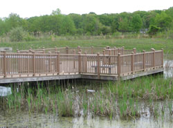 Delaware AeroSpace Education Foundation (DASEF) - Water Everywhere Badge