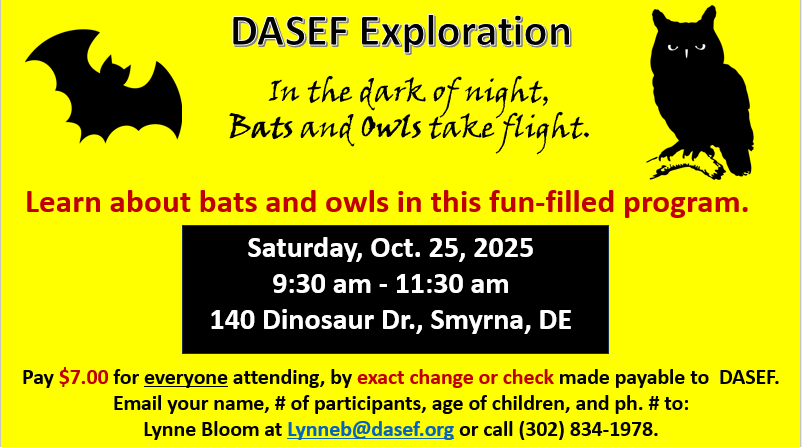DASEF-Exploration-Oct-25