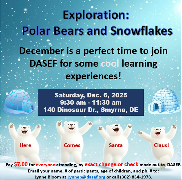 DASEF-Exploration-Dec-25