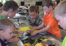 Field Trips - Family Activities